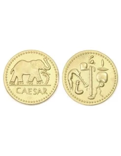 Romeinse Munten JUMBO 35mm (6)